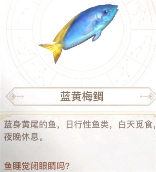 天谕手游汐愿之海鱼类收藏大全 海底鱼类如何解锁 
