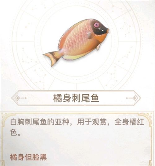 天谕手游汐愿之海鱼类收藏大全 海底鱼类如何解锁 