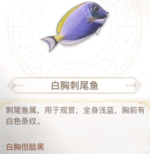 天谕手游汐愿之海鱼类收藏大全 海底鱼类如何解锁 