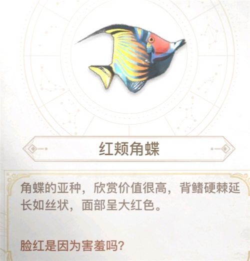 天谕手游汐愿之海鱼类收藏大全海底鱼类如何解锁