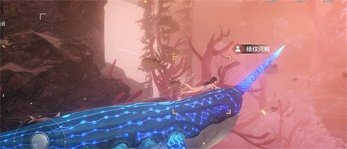 天谕手游汐愿之海鱼类收藏大全 海底鱼类如何解锁 