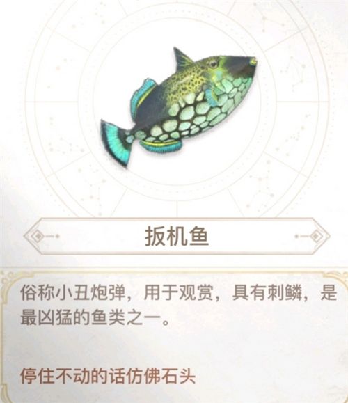 天谕手游汐愿之海鱼类收藏大全 海底鱼类如何解锁 