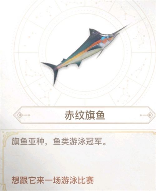 天谕手游汐愿之海鱼类收藏大全 海底鱼类如何解锁 