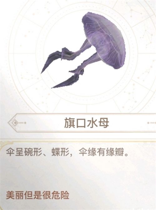 天谕手游汐愿之海鱼类收藏大全 海底鱼类如何解锁 