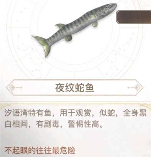 天谕手游汐愿之海鱼类收藏大全 海底鱼类如何解锁 