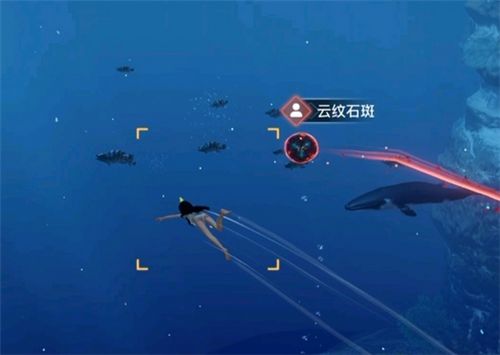 天谕手游汐愿之海鱼类收藏大全 海底鱼类如何解锁 