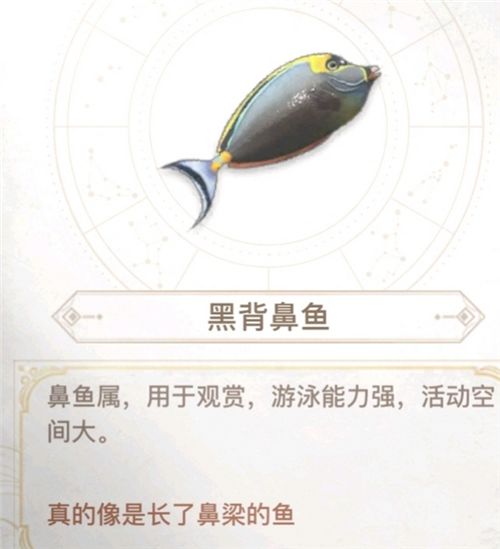 黄鳍金枪鱼:成群,偏黄分布:幽光鲸落,建议在