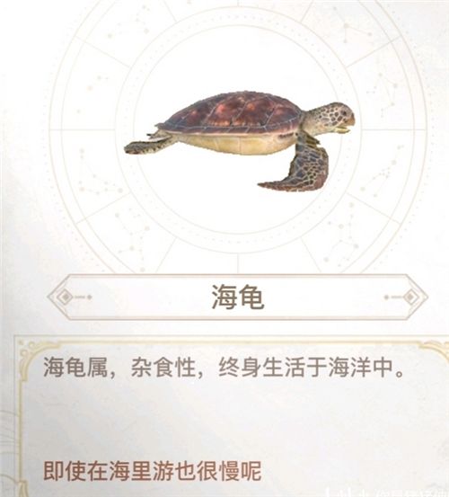 黄鳍金枪鱼:成群,偏黄分布:幽光鲸落,建议在骨架上方碰碰运气42.