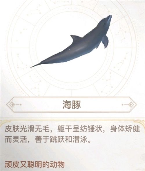 黄鳍金枪鱼:成群,偏黄分布:幽光鲸落,建议在骨架上方碰碰运气42.