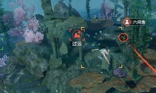 天谕手游汐愿之海鱼类收藏大全 海底鱼类如何解锁 