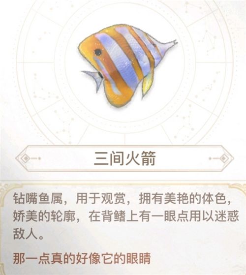 天谕手游汐愿之海鱼类收藏大全 海底鱼类如何解锁 