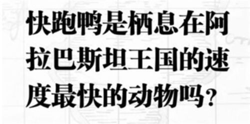 航海王热血航线入团测试答案是什么 入团测试判断题答案