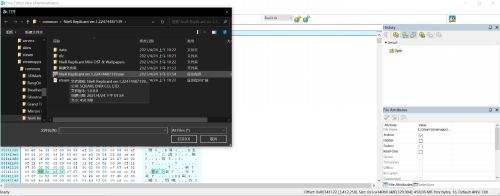 尼尔人工生命带鱼屏怎么玩 尼尔人工生命21：9画面设置方法