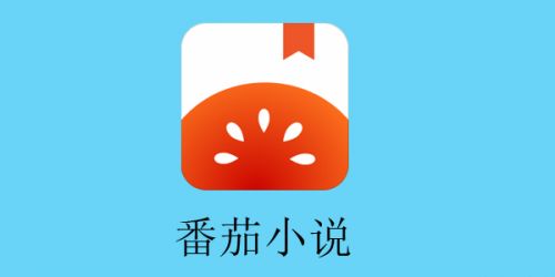 番茄小说app免费版下载