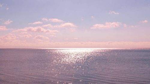 壁纸多多app免费下载壁纸 壁纸多多app最新v.2.3.6下载