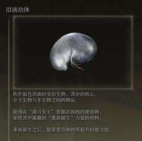 QQ截图20220301095542.jpg