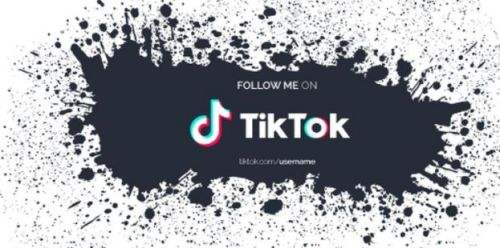 Tik Tok手机版下载