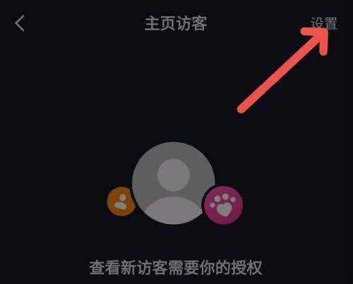 抖音怎么查看访客记录 抖音访客记录查看方法