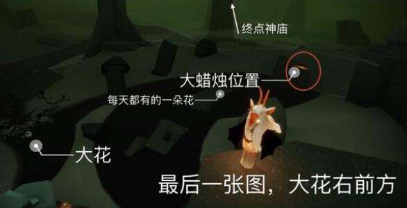 《光遇》6.21每日大蜡烛位置分享2022