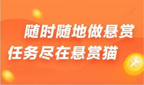 可以发布赚钱任务的平台 功能多多的手机赚钱软件