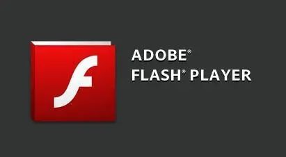 flash中心电脑版