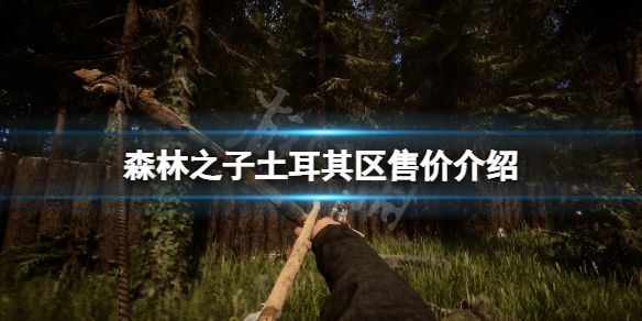 森林之子steam土区多少钱 游戏土耳其区价格分享