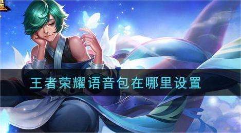 王者荣耀语音包怎么设置 游戏语音包设置介绍