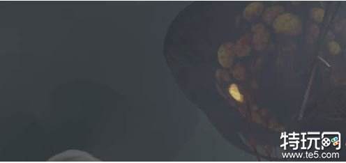 生化危机4重制版虫巢入口怎么完成 生化4重制版虫巢入口任务攻略