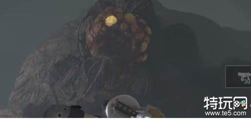 生化危机4重制版虫巢入口怎么完成 生化4重制版虫巢入口任务攻略