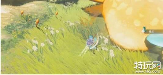 塞尔达传说王国之泪精灵怎么抓 王国之泪精灵抓法分享