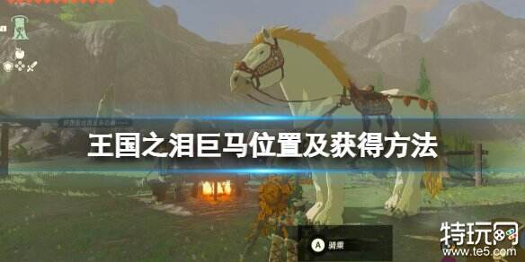 塞尔达传说王国之泪巨马在哪获得 王国之泪巨马获得方法