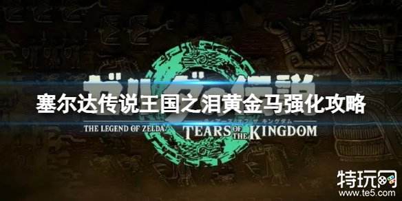 塞尔达传说王国之泪黄金马强化要什么料理 黄金马强化料理介绍