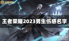 王者荣耀男生伤感名字有哪些 2023男生伤感名字大全