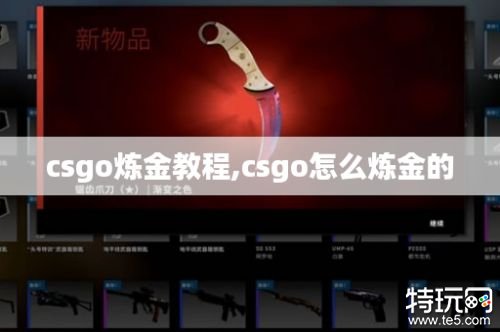 csgo炼金教程 csgo怎么炼金的