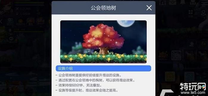 冒险岛枫之传说公会大树有什么用 冒险岛枫之传说公会祈福玩法介绍