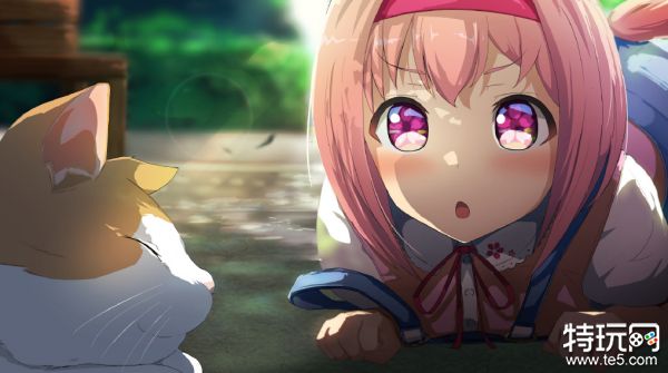 闪耀优俊少女有多少个马娘 赛马娘马娘全图鉴