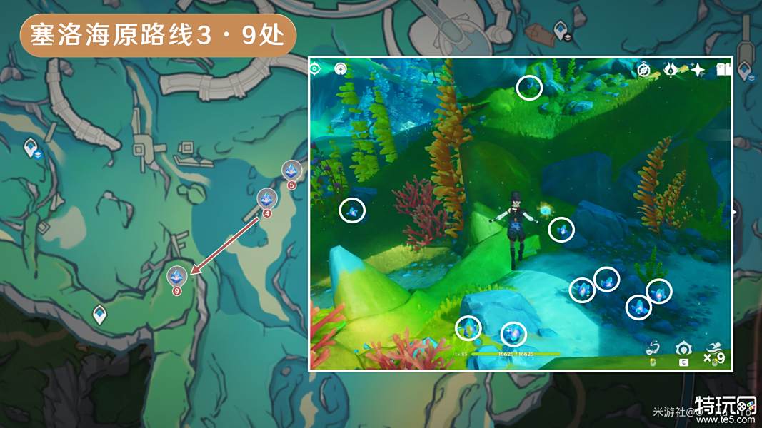 原神萃凝晶采集路线汇总 萃凝晶采集分布图一览