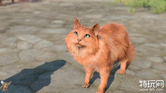 博德之门3放了她成就怎么达成 博德之门3放了她成就达成攻略