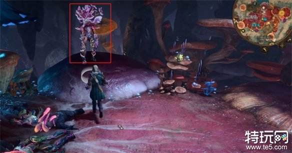 博德之门3蕈人王宝库在哪里 蕈人王宝库具体位置