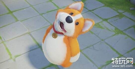 猛兽派对为什么价格这么贵 动物派对售价贵原因