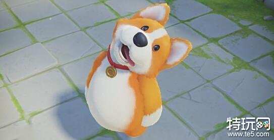 猛兽派对几点解锁可以玩 动物派对开服时间介绍