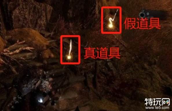 堕落之主假道具怎么分辨 假道具分辨方法介绍