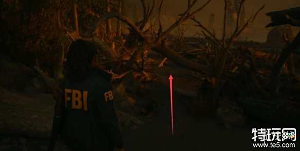 心灵杀手2树杈处保险箱密码是什么 树杈处保险箱打开方法