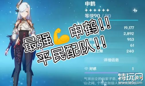 原神申鹤怎么配队 申鹤阵容搭配方案