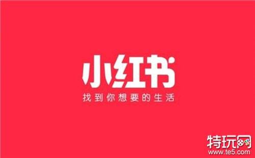 小红书雷电模拟器app闪退怎么办 小红书app闪退的解决办法