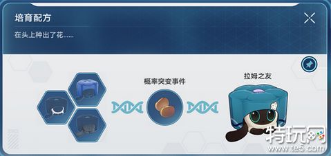 崩坏星穹铁道稀有造物配方大全 星穹铁道稀有造物配方一览