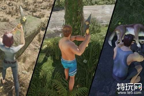 黎明重生新手攻略合集 黎明重生新手注意事项