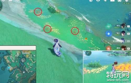 原神沉玉谷阴间宝箱位置合集 沉玉谷阴间宝箱位置一览