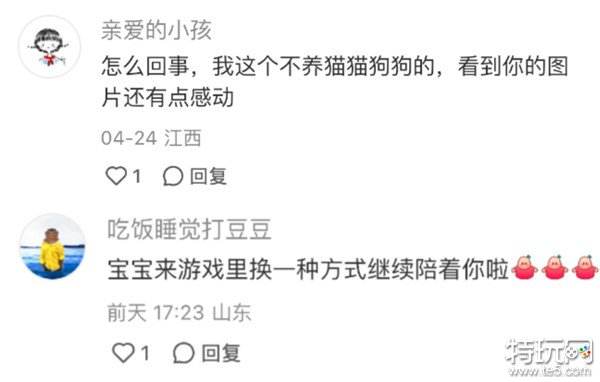 强推！申请《以闪亮之名》游戏加入养宠人必入清单