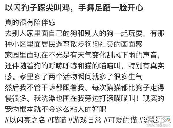 强推！申请《以闪亮之名》游戏加入养宠人必入清单